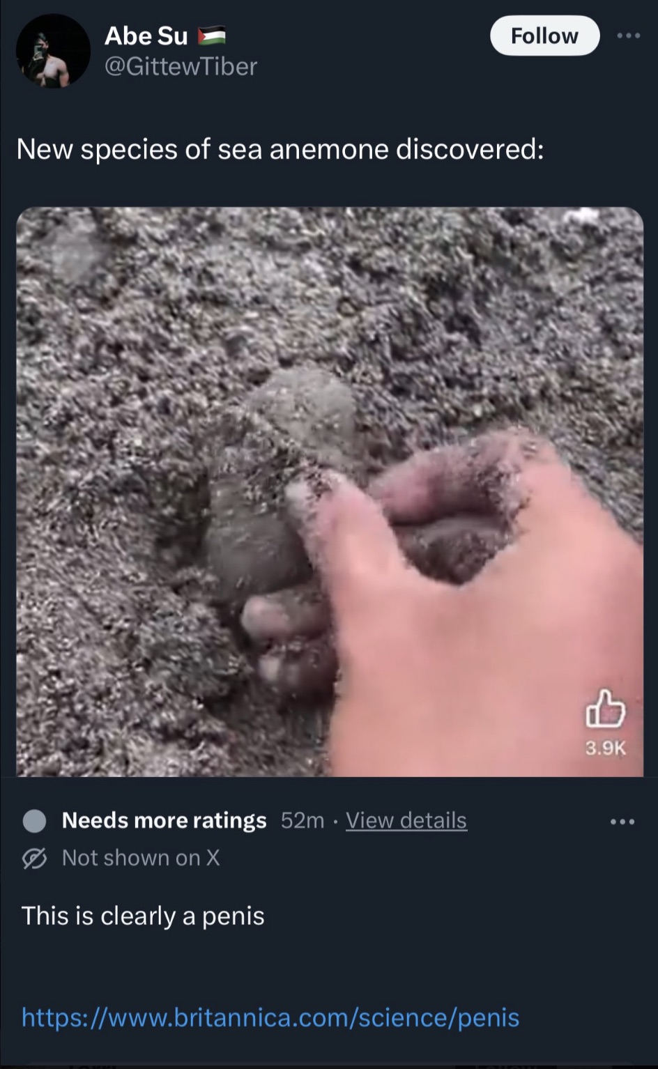 screenshot - Abe Su New species of sea anemone discovered Needs more ratings 52m View details Not shown on X This is clearly a penis